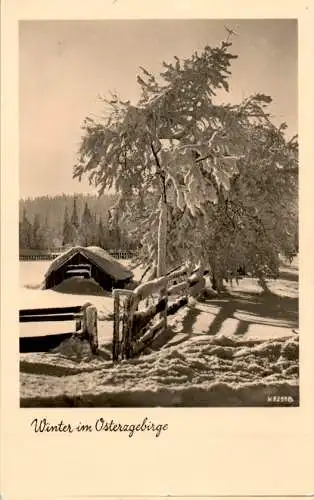 winter im osterzgebirge (Nr. 13165)