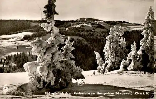 blick vom seebuck zur grafenmatte und herzogenhorn (Nr. 13193)