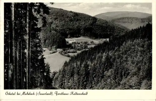 orketal bei medebach, forsthaus kaltenscheid (Nr. 13310)