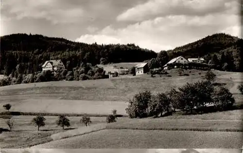 schweigmatt über schopfheim im wiesental, 1959 (Nr. 13335)