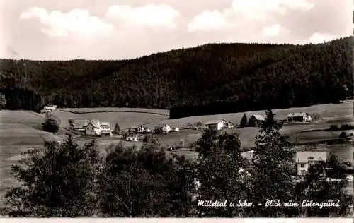 mitteltal, murgtal, blick zum eulengrund (Nr. 13342)