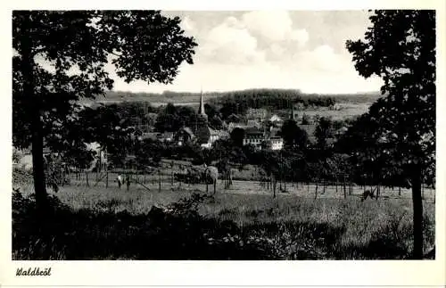 waldbröl, buchhandlung haupt (Nr. 13353)