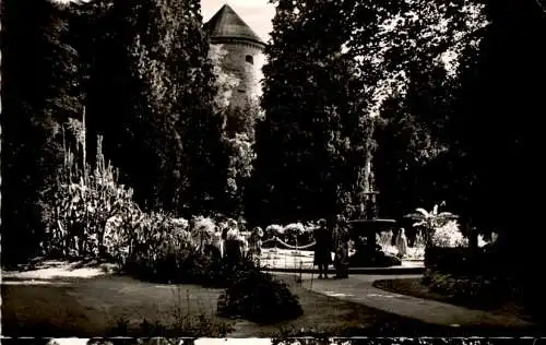 überlingen, partie im stadtgarten (Nr. 13359)