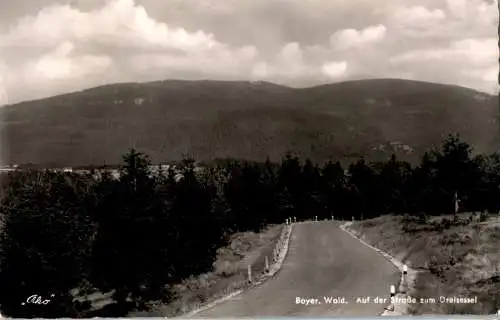 bayer. wald, auf der straße zum dreisessel (Nr. 13406)