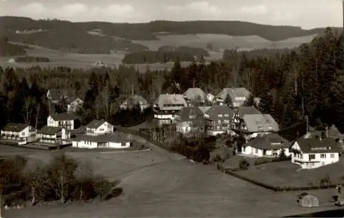 hinterzarten, schwarzwald (Nr. 13426)