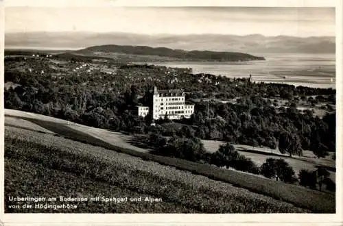 überlingen mit spetzgart und alpen (Nr. 13482)