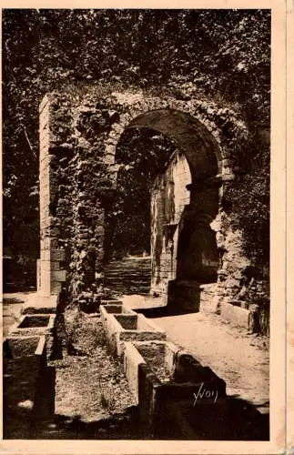 arles, les alyscamps (Nr. 13607)