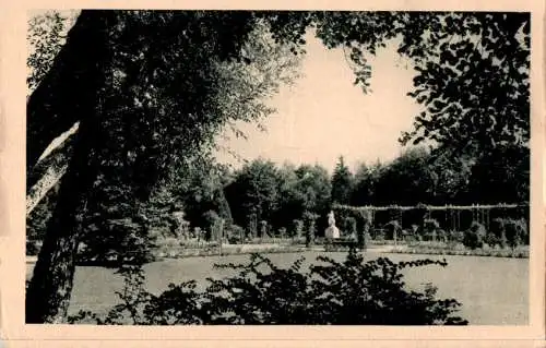 vittel, dans le parc (la roseraie) (Nr. 13633)