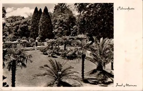 palmenhain, insel mainau (Nr. 13716)