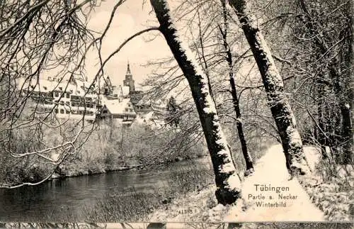 tübingen, partie am neckar, winterbild (Nr. 13751)