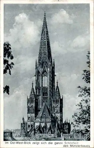 freiburg münster, ost-west-blick (Nr. 13795)