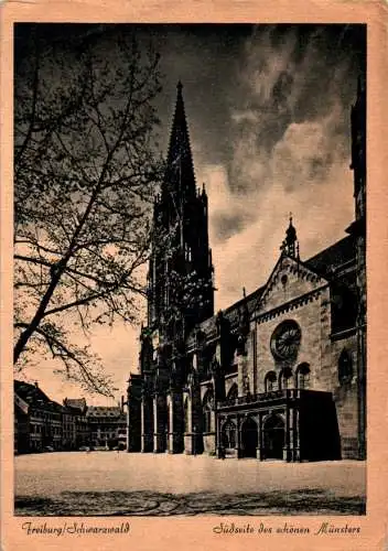 südseite des münsters in freiburg (Nr. 13847)