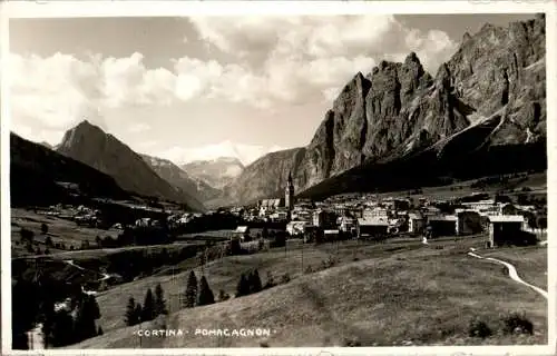 cortina, pomagagnon (Nr. 13913)