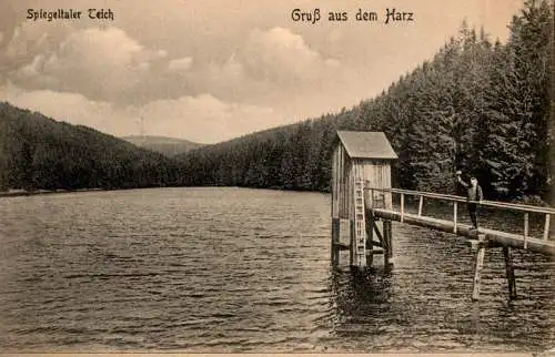 spiegeltaler teich, gruß aus dem harz (Nr. 13971)