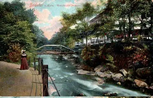 bodetal, waldkater brücke (Nr. 13973)