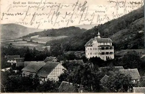 sülzhayn, südharz, 1910 (Nr. 13975)