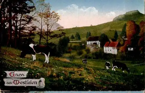 gruss aus westfalen (Nr. 14020)