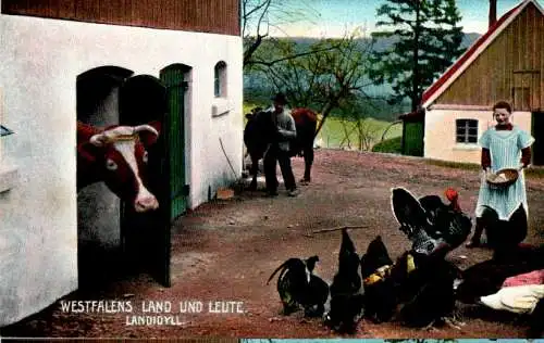 westfalens land und leute, hühner, kuh, landidyll (Nr. 14077)