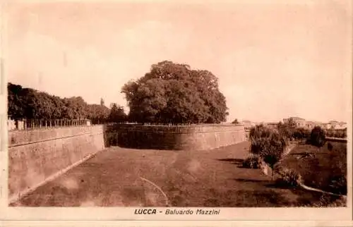 lucca, baluardo mazzini (Nr. 14272)