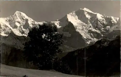 beatenberg, amisbühl: mönch und jungfrau (Nr. 14415)