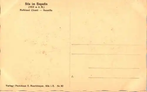 sils im engadin, halbinsel chasté - seestille (Nr. 14425)
