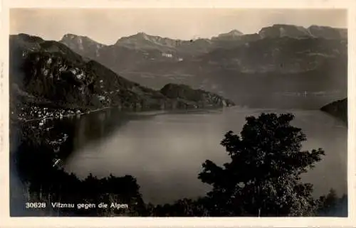 vitznau gegen die alpen (Nr. 14491)