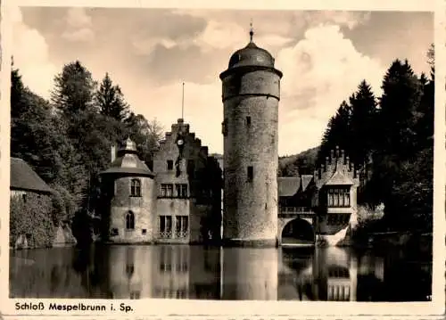 schloß mespelbrunn i.Sp. (Nr. 14612)