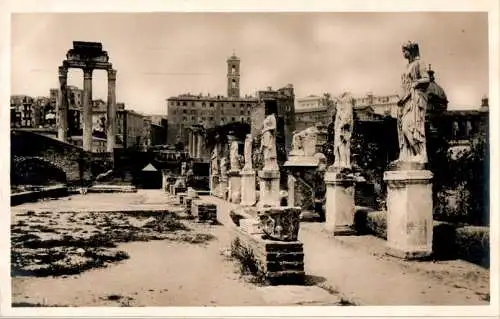 roma, foro romano, casa delle vestali (Nr. 14691)