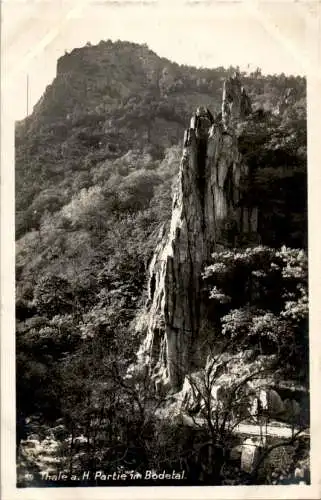 thale, partie im bodetal (Nr. 14739)