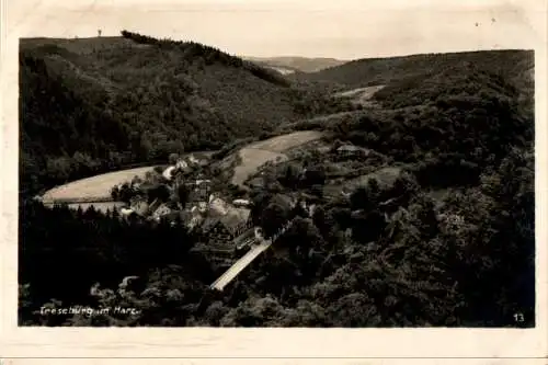 treseburg im harz (Nr. 14740)