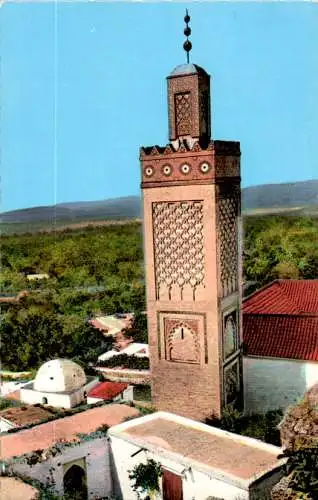 tlemcen, algérie, le minaret de sidi-lhaloui (Nr. 15058)