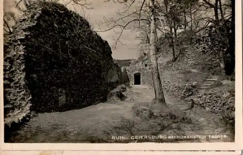 ruine geiersburg bei hohenstein/erzgebirge (Nr. 15163)