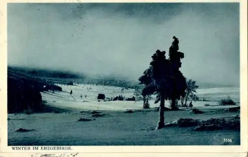 winter im erzgebirge (Nr. 15189)