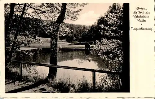 ebnisee, die perle des welzheimer waldes (Nr. 15245)