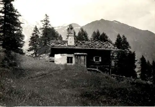 mastauner alp - madonna di senales (Nr. 15387)