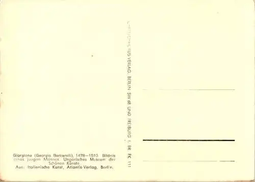 barbarelli, bildnis eines jungen mannes (Nr. 15459)