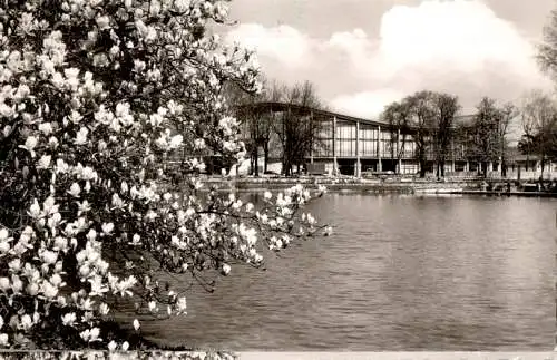 karlsruhe, magnolienblüte im stadtgarten (Nr. 15637)