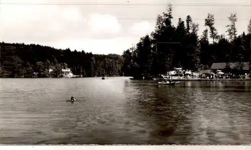 ebnisee im schwäbischen wald (Nr. 15696)