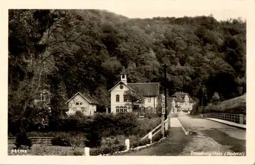 treseburg/harz (Nr. 15725)