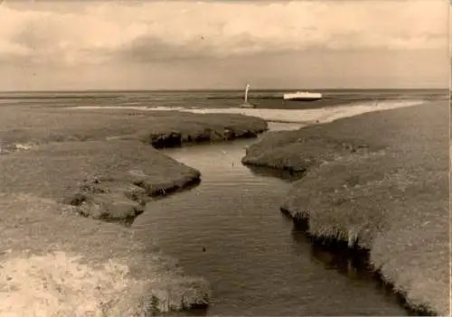 sylt, wassergraben (Nr. 15876)