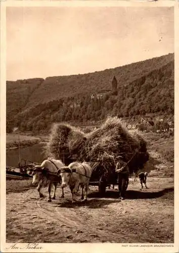 am neckar, zwingenberg (Nr. 16032)