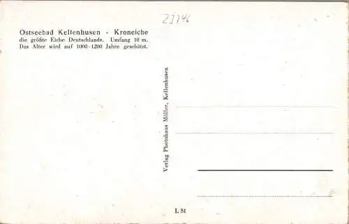 kellenhusen, kroneiche (Nr. 16095)