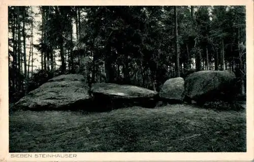 sieben steinhäuser, fallingbostel (Nr. 16130)