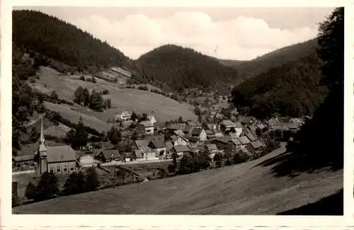 sieber harz, oberer promenadenweg (Nr. 16161)