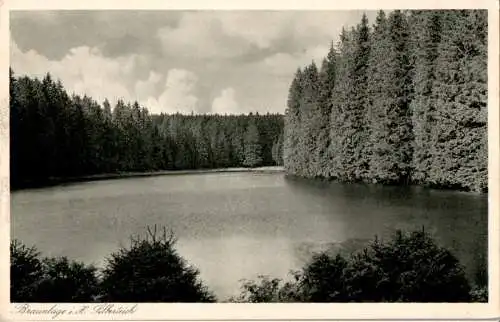 braunlage, silberteich (Nr. 16199)