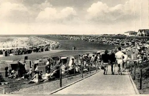 büsum, neuer deich mit weg zum strand (Nr. 16217)