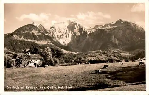 strub mit kehlstein, göll, brett (Nr. 16289)