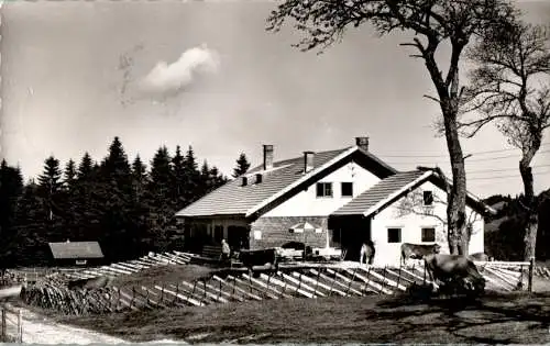 berggaststätte "schwand-alpe", thalkirchdorf (Nr. 16348)