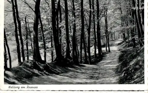 waldweg am rosensee, raisdorf b. kiel (Nr. 16443)