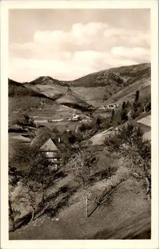 wanderheim belchenblick, neuenweg schwarzwald (Nr. 16481)